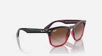 LENTES DE SOL RAYBAN STEVE Generico